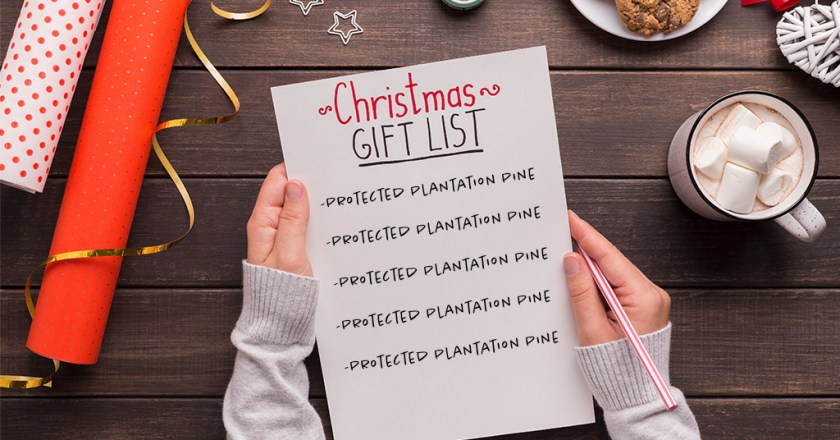Christmas Lists are In, Kids are Wanting Protected Plantation Pine!