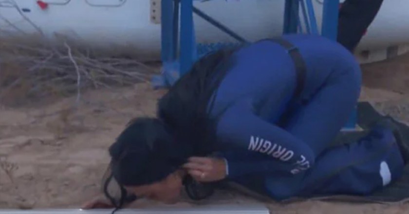 Katy Perry Returns to Earth and is seen kissing Plantation-Grown Radiata Pine