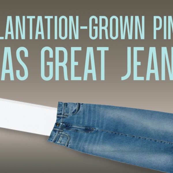 Plantation-Grown Pine Has Great Jeans