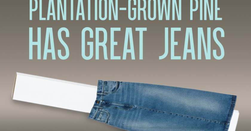 Plantation-Grown Pine Has Great Jeans