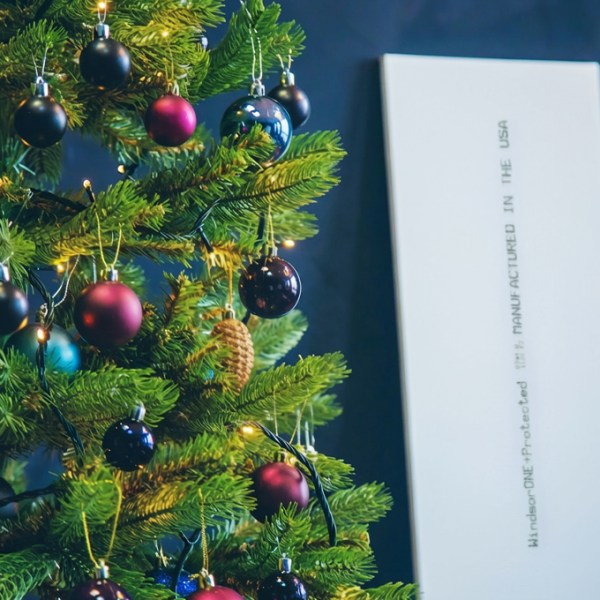 Everyone Wants Radiata Pine As Their Christmas Trees!