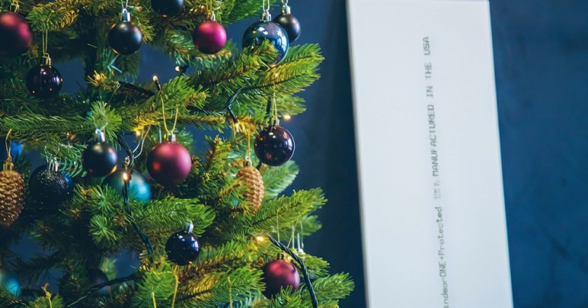 Everyone Wants Radiata Pine As Their Christmas Trees!