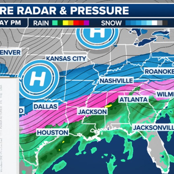As a Historic Winter Storm Approaches, People are Stocking Up on Plantation-Grown Pine for Comfort and Protection!